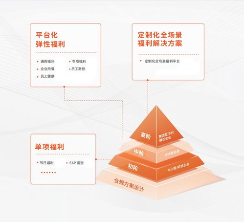 以福利管理為切口，中智關(guān)愛通打造“以人為本”的數(shù)字化服務(wù)能力